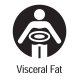 Viceral Fat